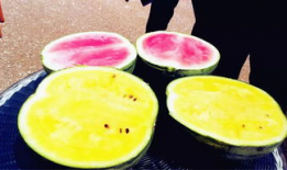 泊头吃瓜爆料,揭秘背后惊人真相